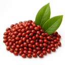 Sorghum red