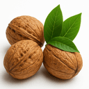 Walnuts
